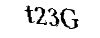 Bitte geben Sie die Buchstaben und Zahlen ein