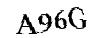 Bitte geben Sie die Buchstaben und Zahlen ein