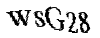Bitte geben Sie die Buchstaben und Zahlen ein