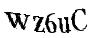 Bitte geben Sie die Buchstaben und Zahlen ein
