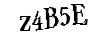 Bitte geben Sie die Buchstaben und Zahlen ein
