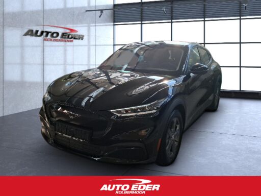 Ford Mustang   Mach-E Surroundkamera