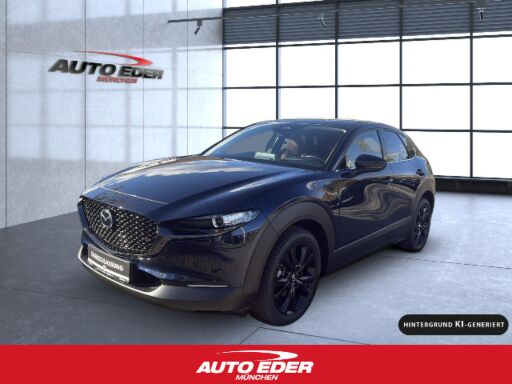 Mazda CX-30   Nagisa 2WD