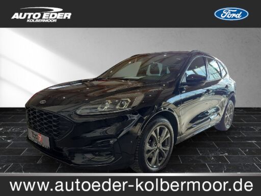 Ford Kuga   ST-Line leichter Hagelschaden