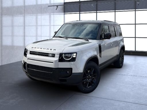 Land Rover Defender   110 D200 S