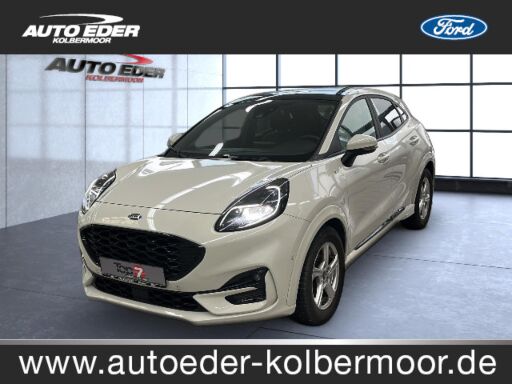 Ford Puma   Hybrid ST-Line X leichter Hagel