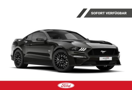 Ford Mustang   Fastback  5,0L V8  453PS