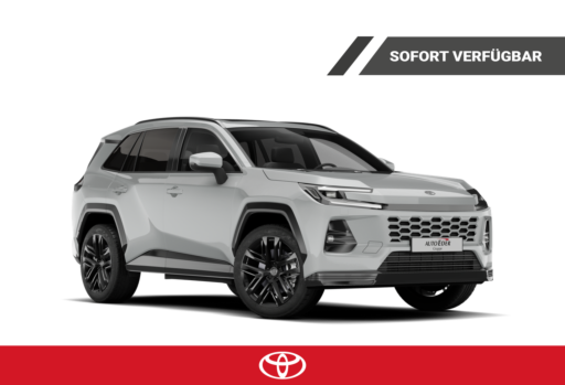 Toyota RAV4   Teamplayer  2,5l VVT-i 160kW 218PS Hybrid FWD  218PS