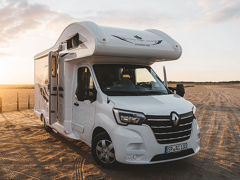 Ahorn Alkoven an der Nordsee