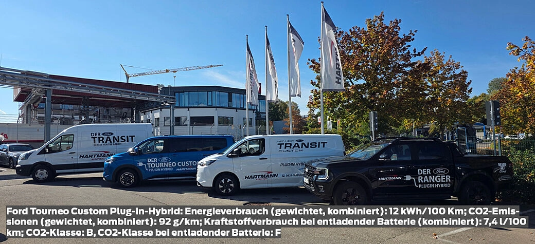 Ford Nutzfahrzeugpalette bei Auto Hartmann Kempten